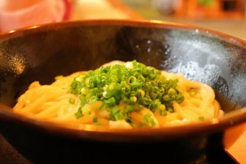 高知・南国市の穴場「うどん家ふう」子供・赤ちゃんも食べられる細麺