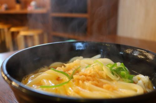 手打ちうどん「たも屋」高知全店完全ガイド