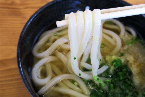 すこぶる別品エビスのうどん　UDON FACTORY エビス ＠ 高松市香川町　今年５回目の讃岐うどんツアー　四軒目　170610