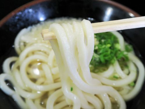 モーニングうどんは製麺所のセルフうどん !!!　松下製麺所 ＠ 高松　今年１２回目の讃岐うどんツアー　一軒目　101122