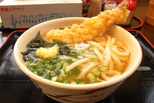 「たも屋」高知インター店！年始の「エビ天うどん」＆ぶっかけうどん