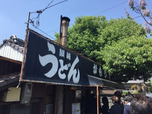 香川坂出さぬきうどん『がもう』大きいお揚げのきつねうどん！