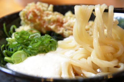 さぬきうどん清瀧(きよたき)高知/土佐市の「セルフうどん」屋さん！