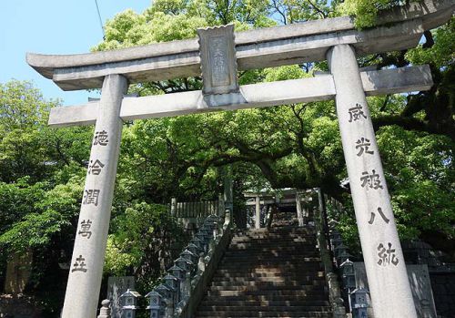 うぶしな（香川綾歌郡）今回の香川ママチャリ旅では最高に旨かったぶっかけうどん