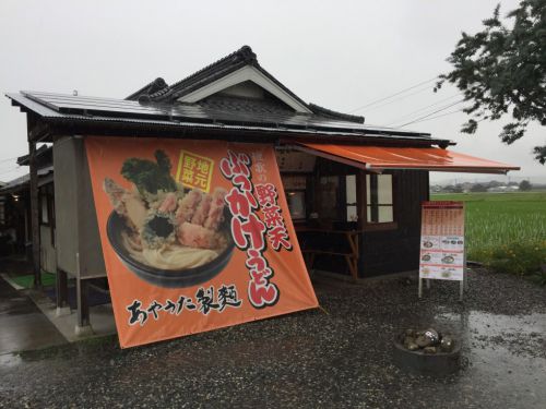 香川丸亀讃岐うどん『あやうた製麺』セルフ版もり家のカレーうどん！