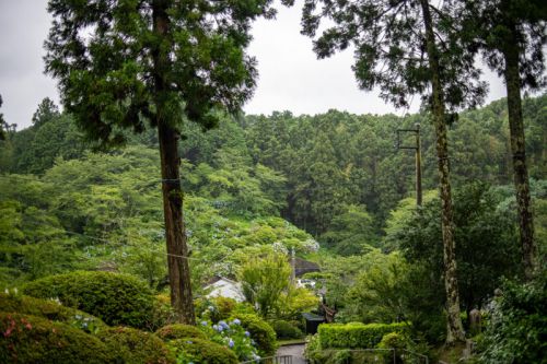 神社仏閣とのコラボ！屋台ベースで本格蕎麦をケータリング