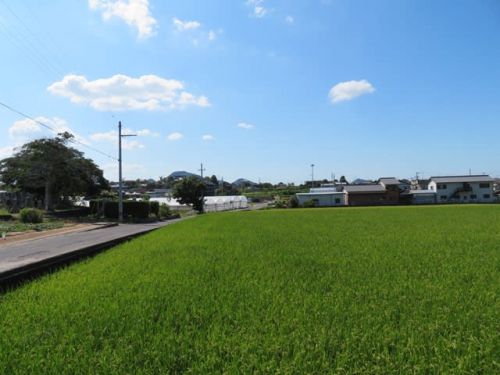 手打うどん 久保　－　県民おすすめのお店２　－