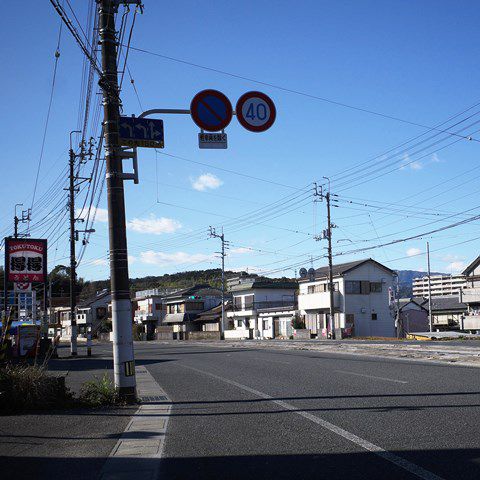 得得うどんで、梅山菜うどんを