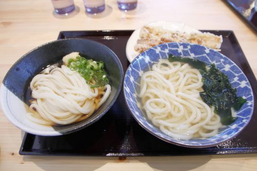 セルフうどんつむぎ - 高知市に2020年4月1日新店オープン！