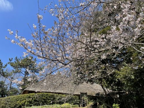 名代　富士そば　津田沼店　その十八